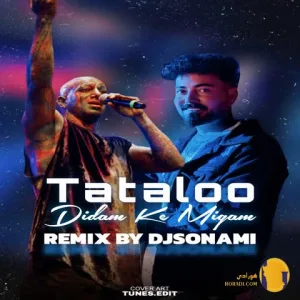 دانلود ریمیکس دیدم که میگم دیجی سونامی امیرتتلو + متن ریمیکس