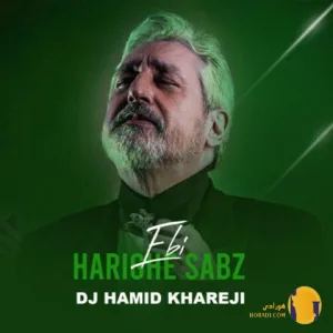 دانلود آهنگ حریق سبز ابی + متن آهنگ