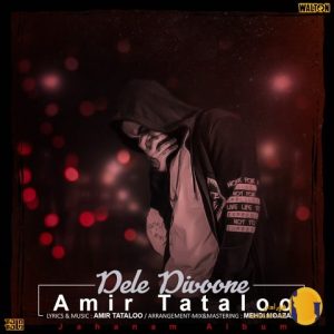 دانلود آهنگ دل دیوونه امیر تتل