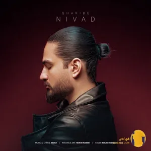 دانلود آهنگ غریبه نیواد + متن اهنگ