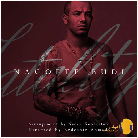 دانلود آهنگ نگفته بودی امیر تتلو + متن آهنگ