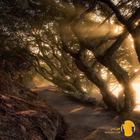 دانلود آهنگ دنیا رو که بگردی هیچ کسی تو نمیشه + متن آهنگ