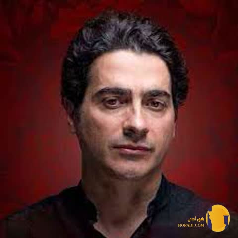 دانلود آهنگ چرا رفتی همایون شجریان + متن آهنگ