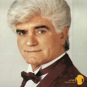 دانلود آهنگ شادوماد ویگن + متن آهنگ