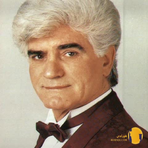 دانلود آهنگ شادوماد ویگن + متن آهنگ