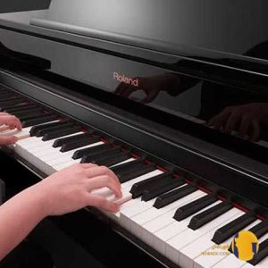 دانلود آهنگ فیسش نچراله ولی سل