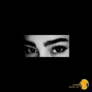 دانلود ریمیکس رویا بیگ شگی امیر تتلو مسلک + متن ریمیکس