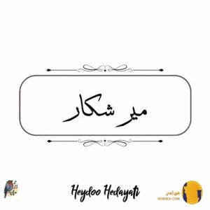 دانلود آهنگ میرشکار حیدو هدایت