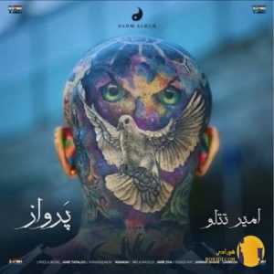 دانلود آهنگ پرواز امیر تتلو + 