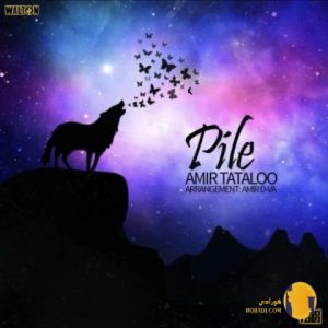 دانلود آهنگ پیله امیر تتلو + م