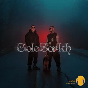 دانلود آهنگ گل سرخ اوتلاو + مت