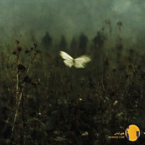 دانلود آهنگ قمار آخر توهم با صدای زن کامل + متن آهنگ