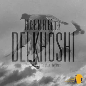 دانلود آهنگ دلخوشی حصین و بیگرض + متن آهنگ