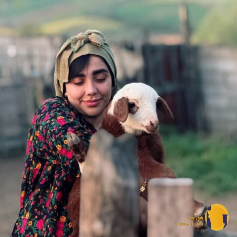 دانلود آهنگ مر بمیرم فاطمه عطایی + متن آهنگ