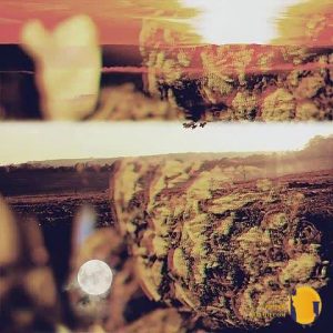 دانلود آهنگ صبح ظهر شب حصین + 