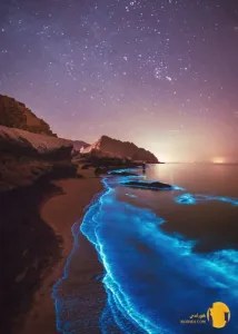 روز ملی خلیج فارس