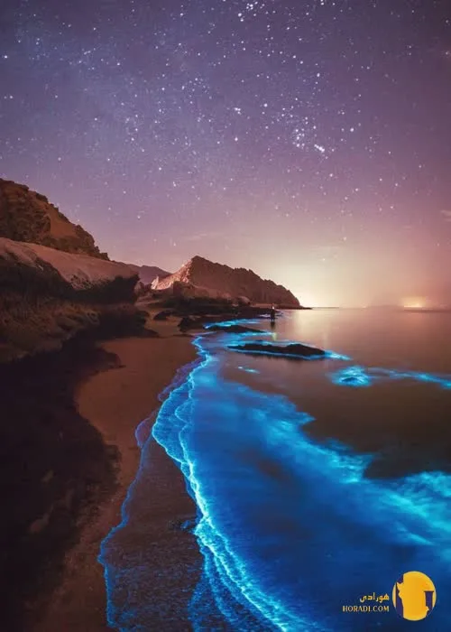 روز ملی خلیج فارس