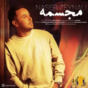 دانلود آهنگ مجسمه ناصر زینعلی + متن آهنگ