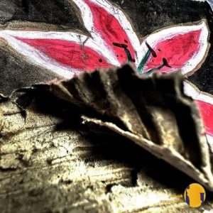 دانلود آهنگ نگار سام + متن آهنگ