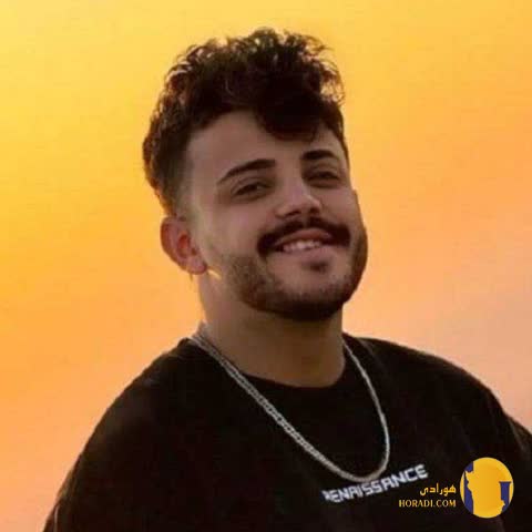 ‎دانلود آهنگ آخرش از دست تو میشم دیوونه محمد مولایی + متن آهنگ