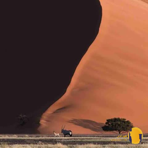 دانلود آهنگ هنوز پاریس نرفتم + متن آهنگ