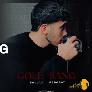 دانلود آهنگ گل سنگ سجاد فراست + متن آهنگ
