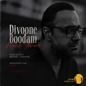 دانلود آهنگ دیوونه بودم مهدی جهانی + متن آهنگ