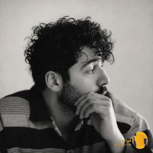 دانلود آهنگ پتک شروین حاجی پور