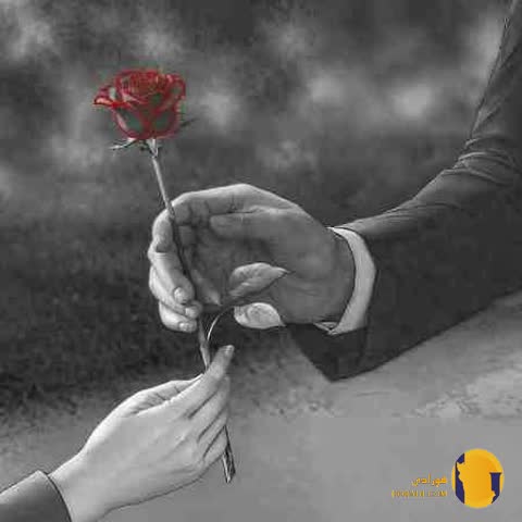 دانلود ریمیکس تابستون سرد 3 مهیاد و رض و امین تیجی + متن ریمیکس