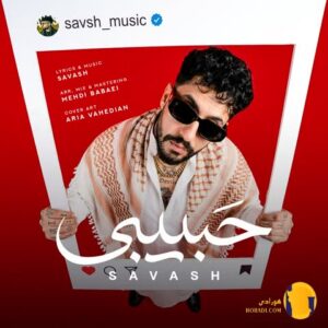 دانلود آهنگ حبیبی ساواش + متن آهنگ