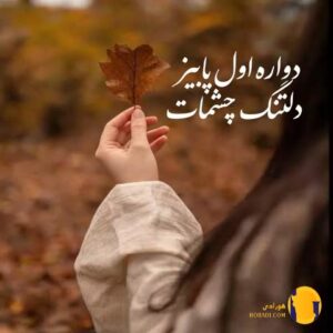 دانلود آهنگ دواره اول پاییز دلتنگ چشمات سبحان محمدی + متن آهنگ