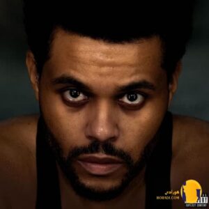 دانلود آهنگ Timeless از The Weeknd Ft Playboi Carti + ترجمه متن