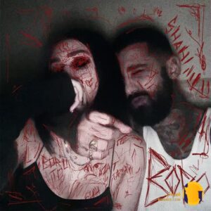 دانلود آهنگ برو سجاد شاهی + متن آهنگ